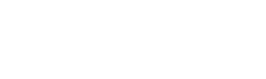 viz-art logo hifistore